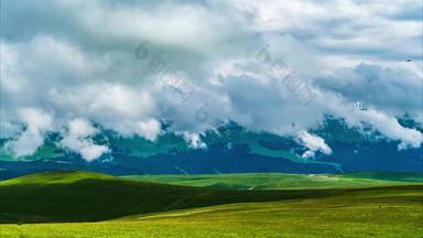 新疆森林雪山自然风光